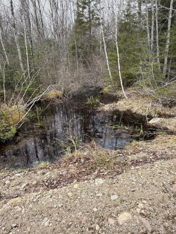 8-9 Western Stream Road Robbinston ME 04671