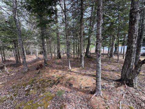 8-9 Western Stream Road Robbinston ME 04671