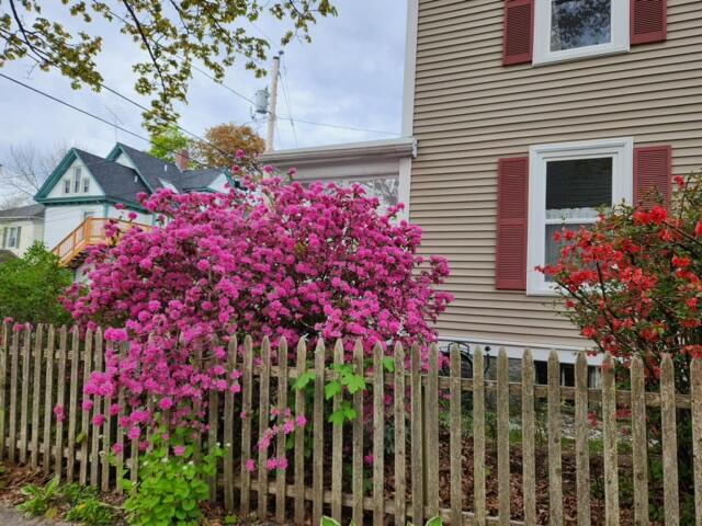 15 Newton Way Bar Harbor ME 04609