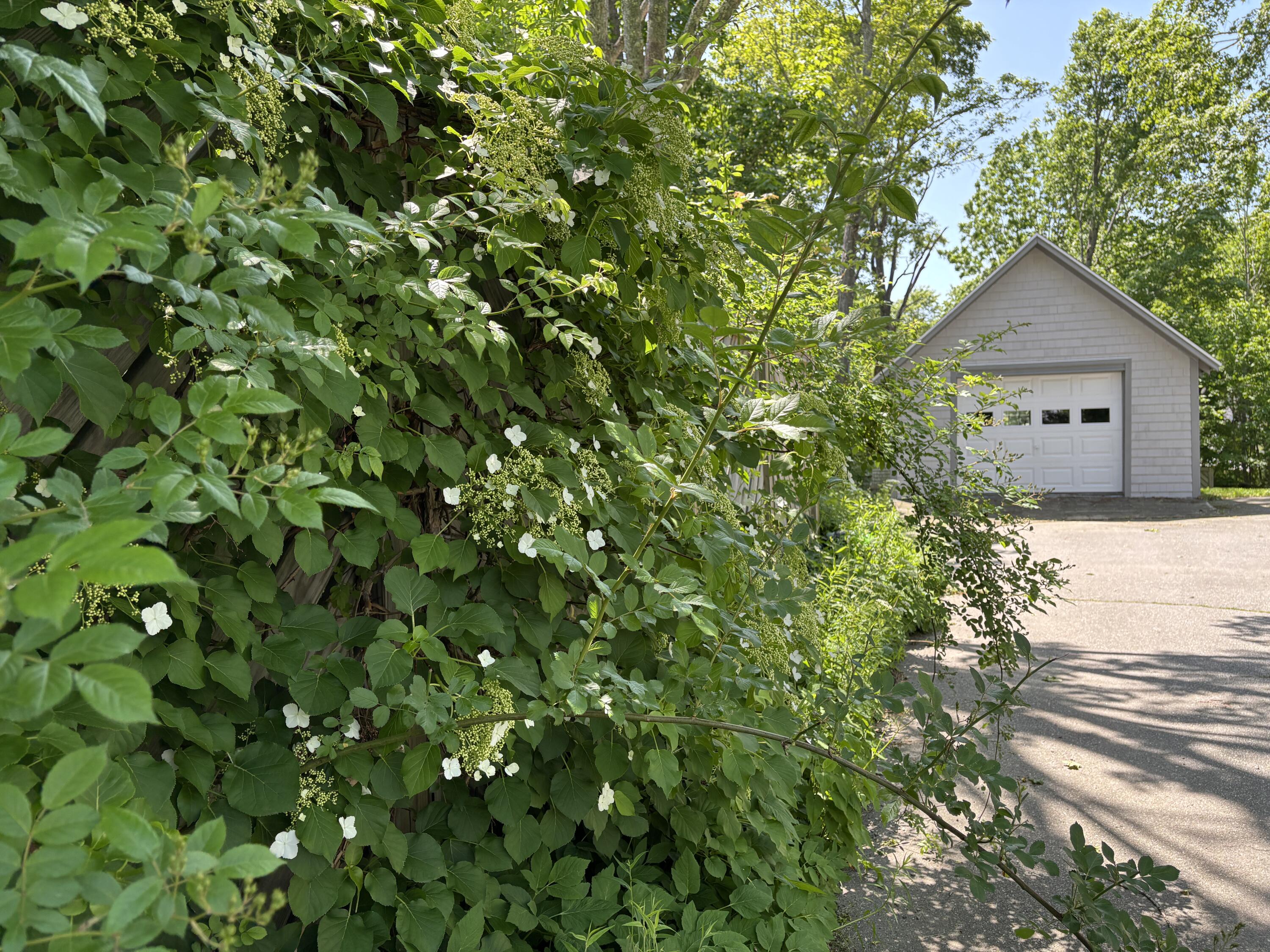 8 Sterling Street Ellsworth ME 04605