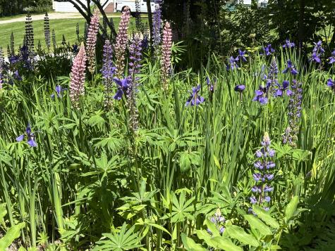 8 Sterling Street Ellsworth ME 04605