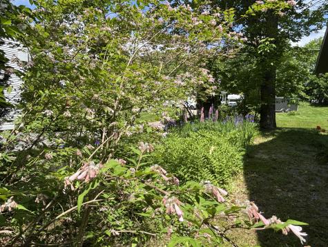 8 Sterling Street Ellsworth ME 04605