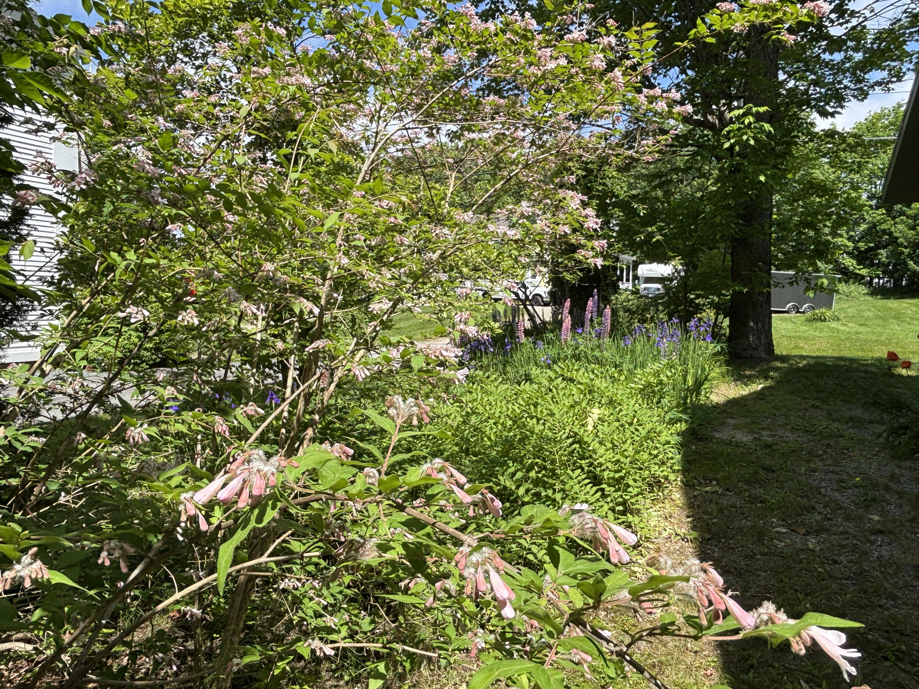 8 Sterling Street Ellsworth ME 04605