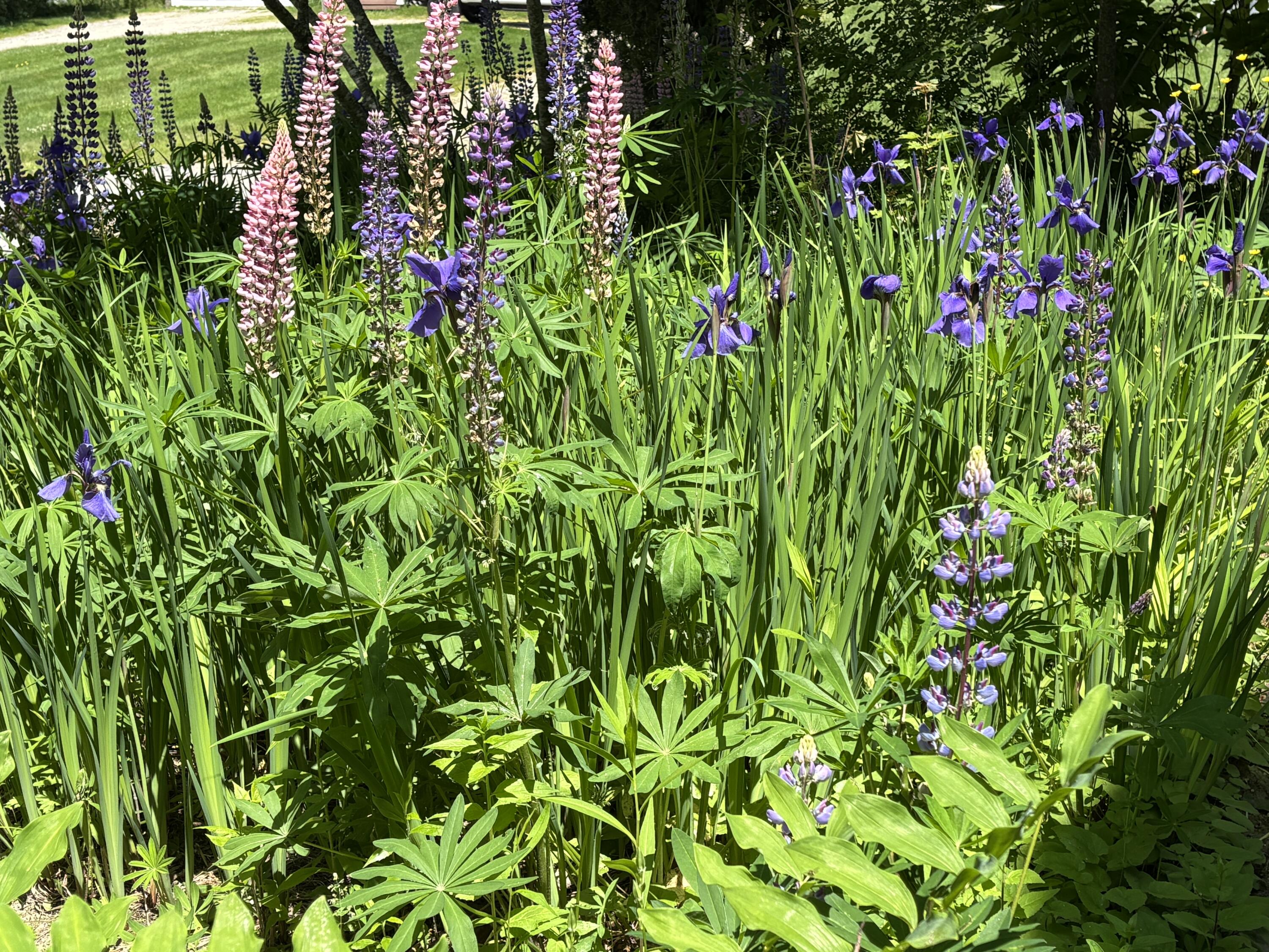 8 Sterling Street Ellsworth ME 04605