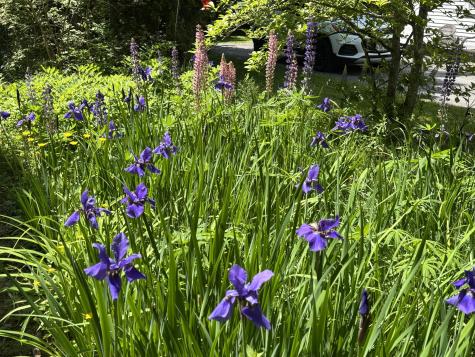 8 Sterling Street Ellsworth ME 04605