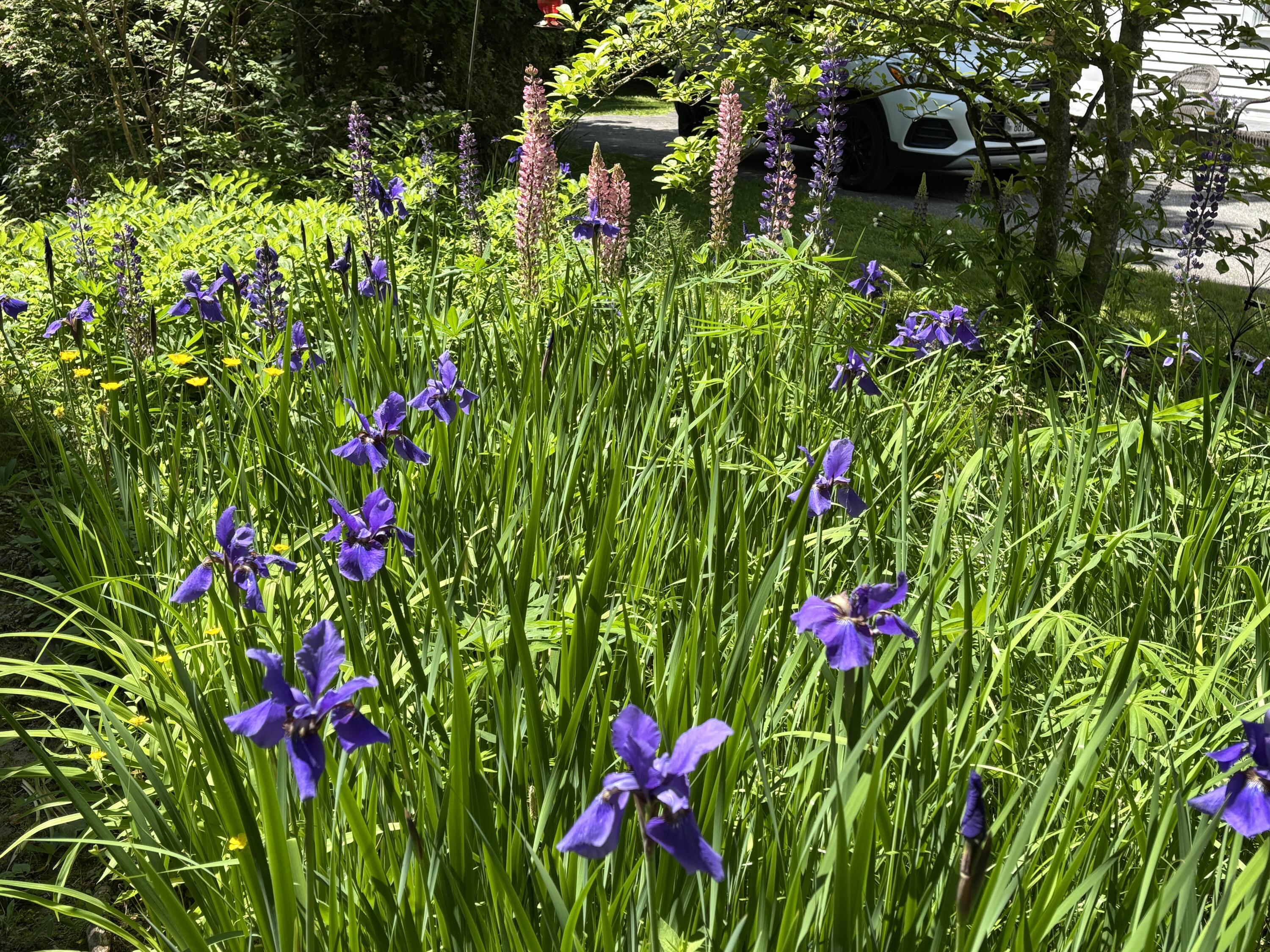 8 Sterling Street Ellsworth ME 04605