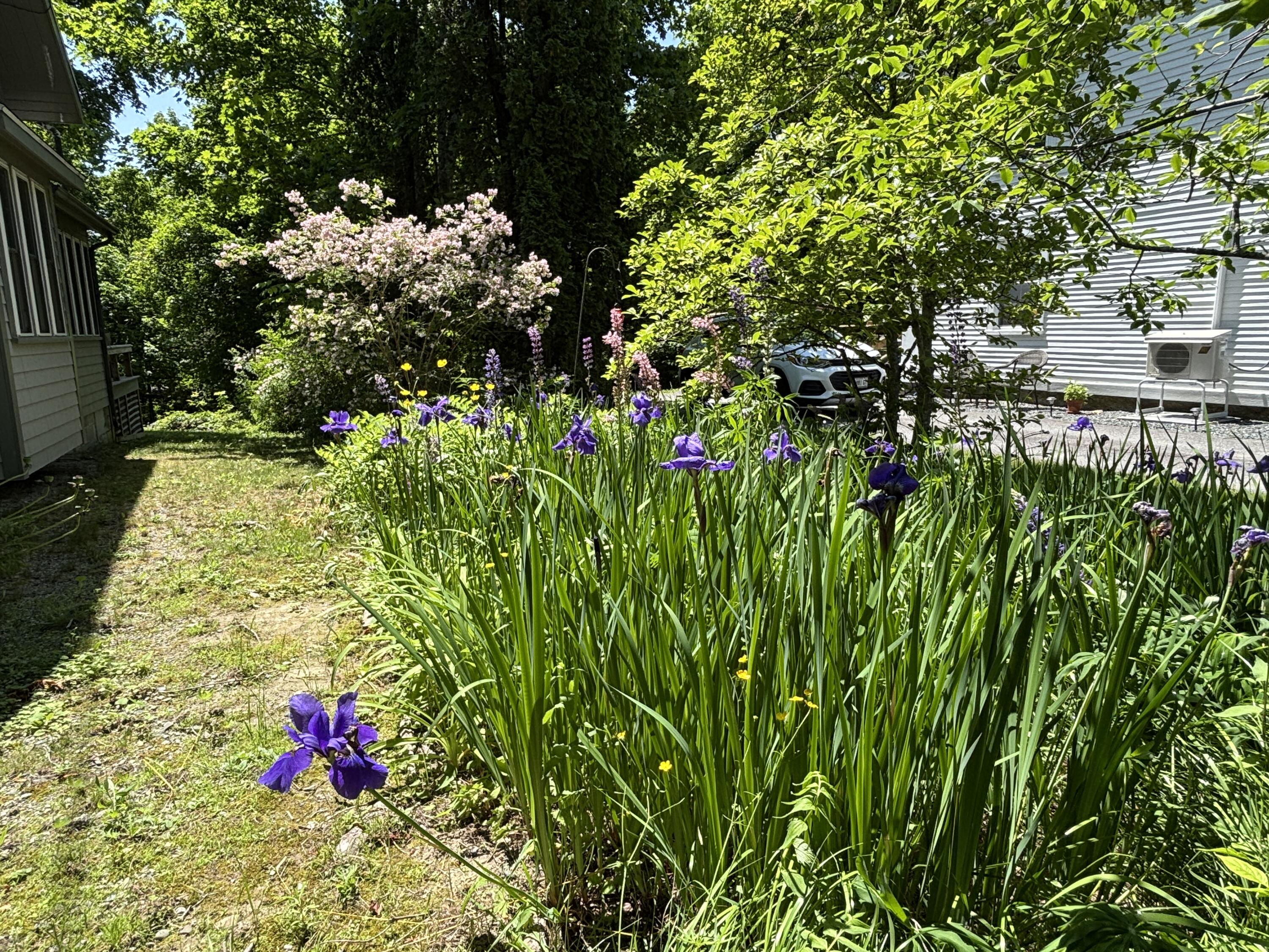 8 Sterling Street Ellsworth ME 04605