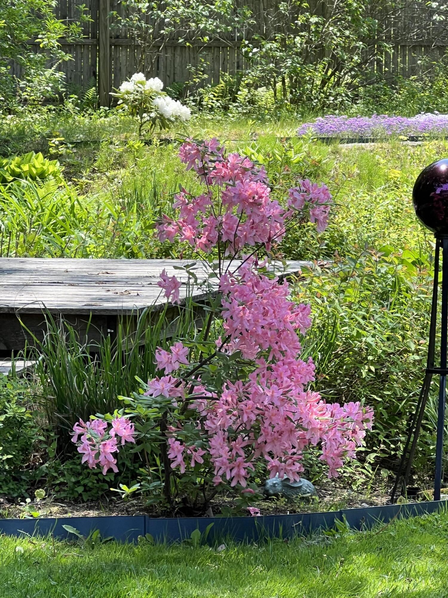 98 Lake Street Auburn ME 04210