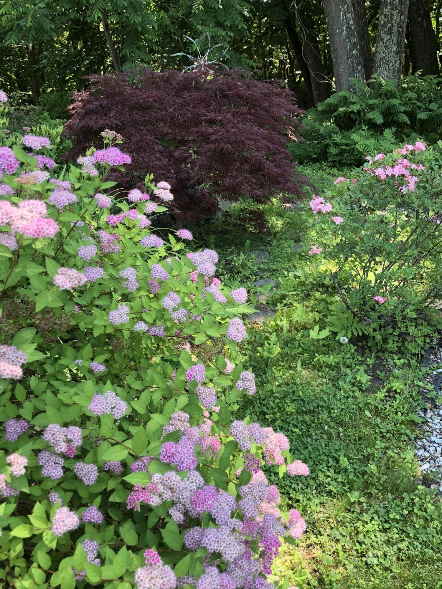 98 Lake Street Auburn ME 04210