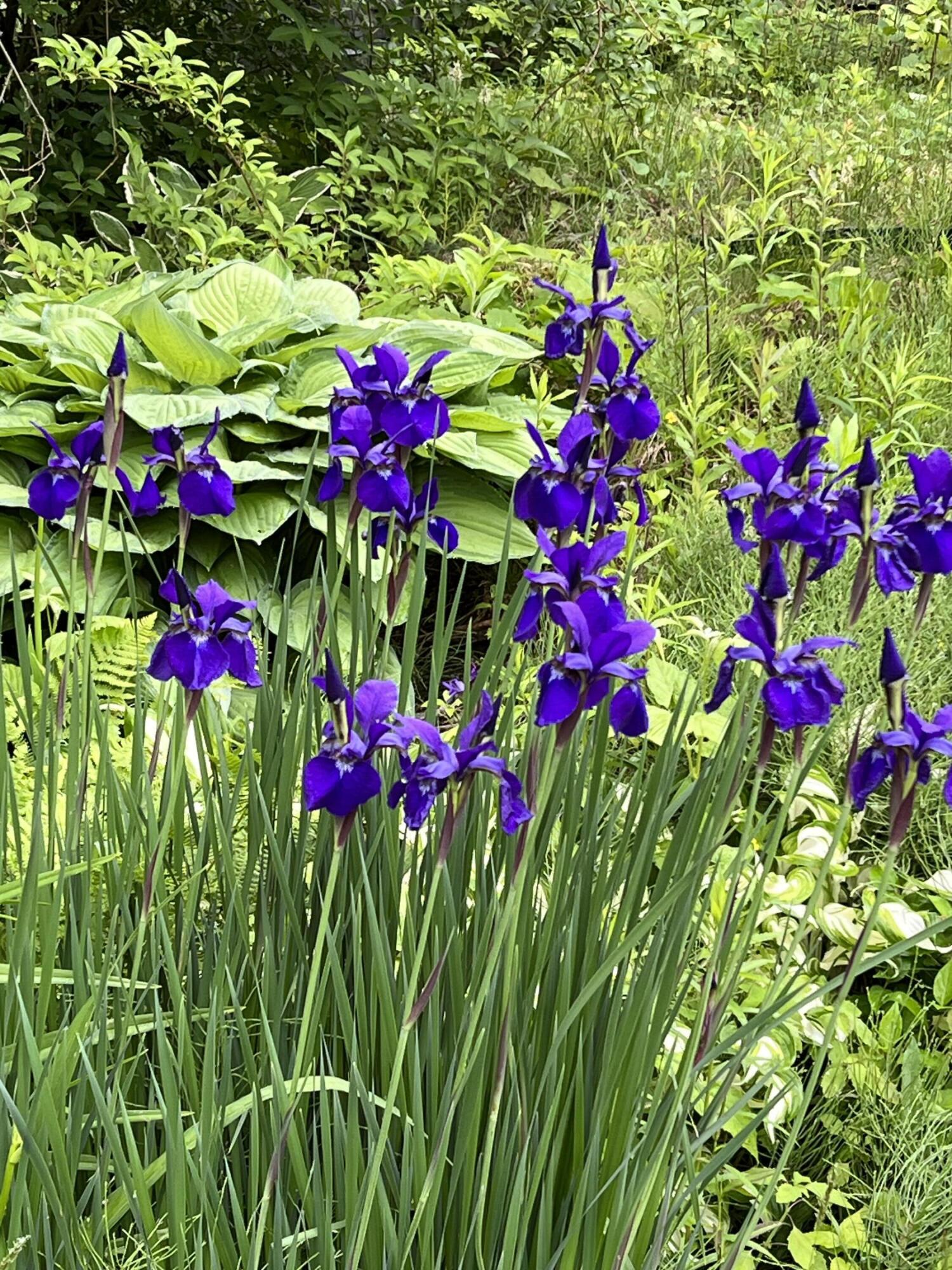 98 Lake Street Auburn ME 04210