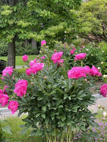 98 Lake Street Auburn ME 04210