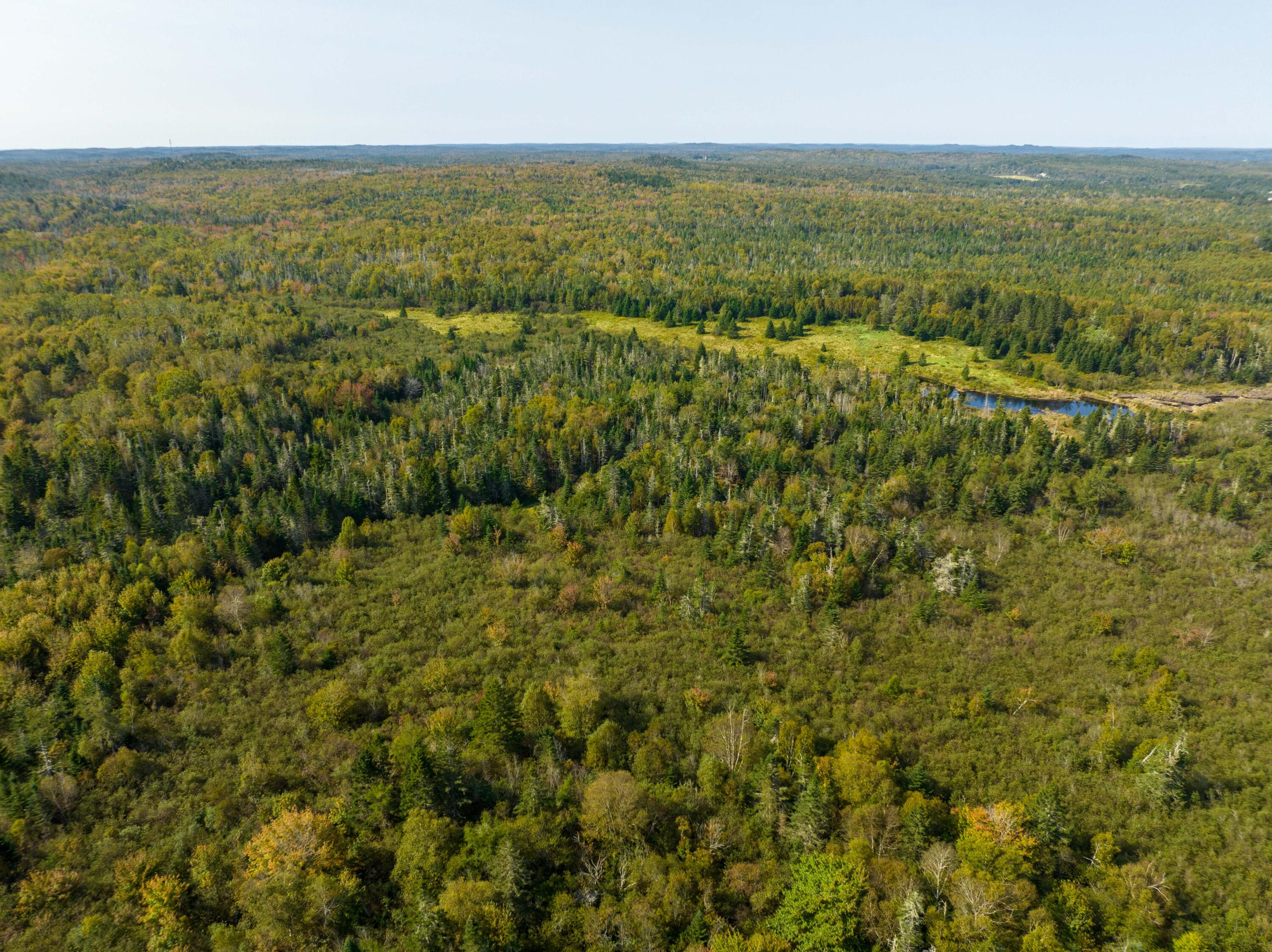 117 Denbow Road Lubec ME 04652