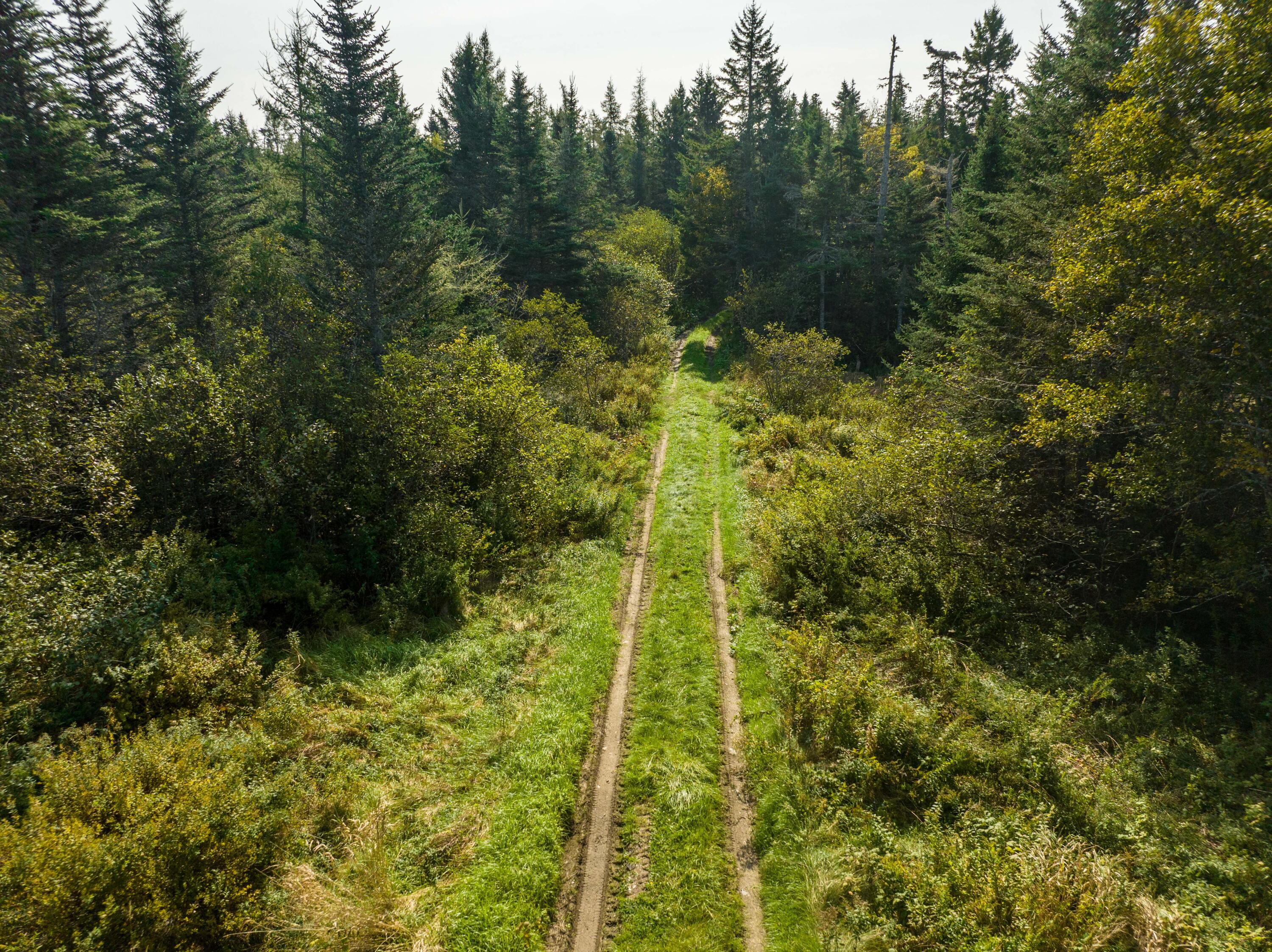 117 Denbow Road Lubec ME 04652