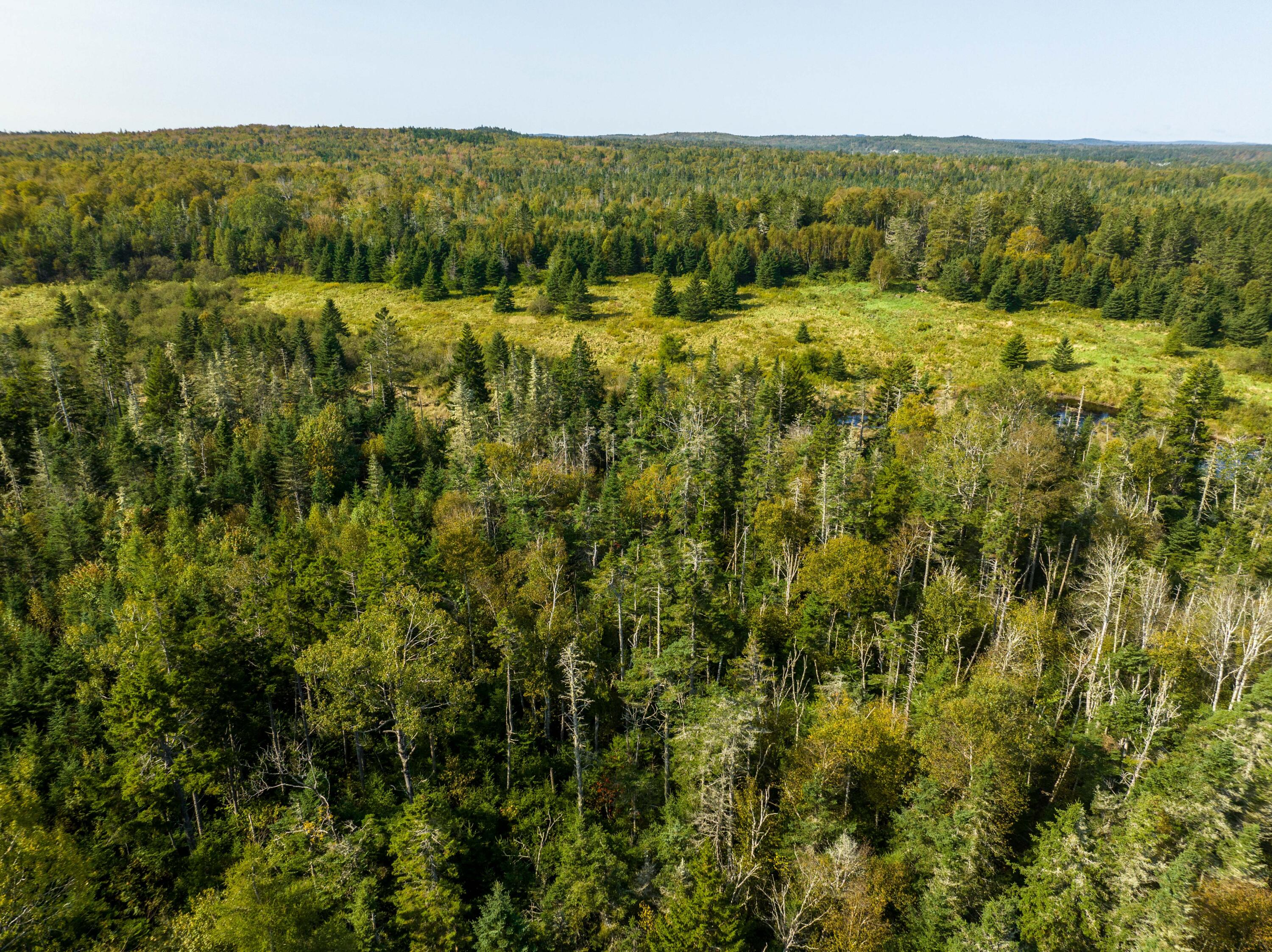 117 Denbow Road Lubec ME 04652