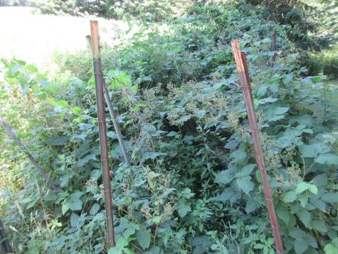 517 River Road Hollis ME 04042