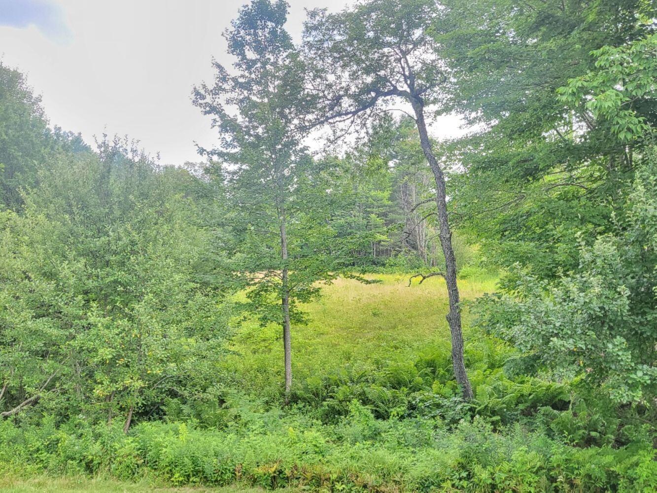 370 School Street Weld ME 04285