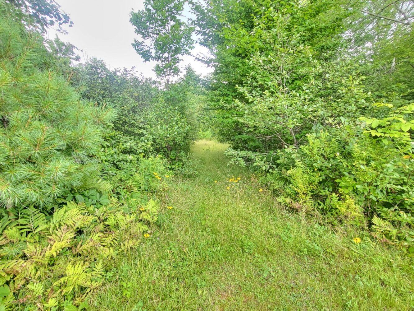 370 School Street Weld ME 04285