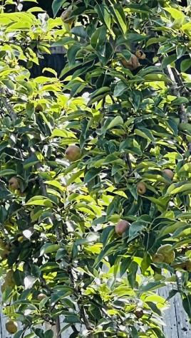 18 School Street Lubec ME 04652