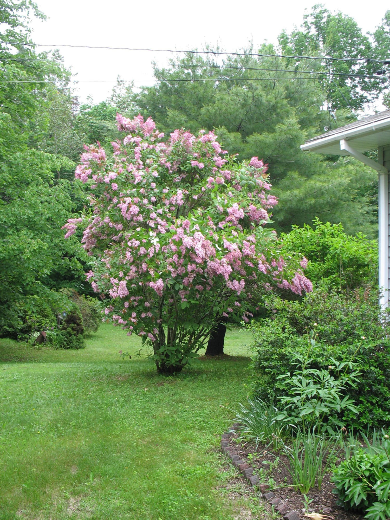 15 Guilford Center Road Guilford ME 04443