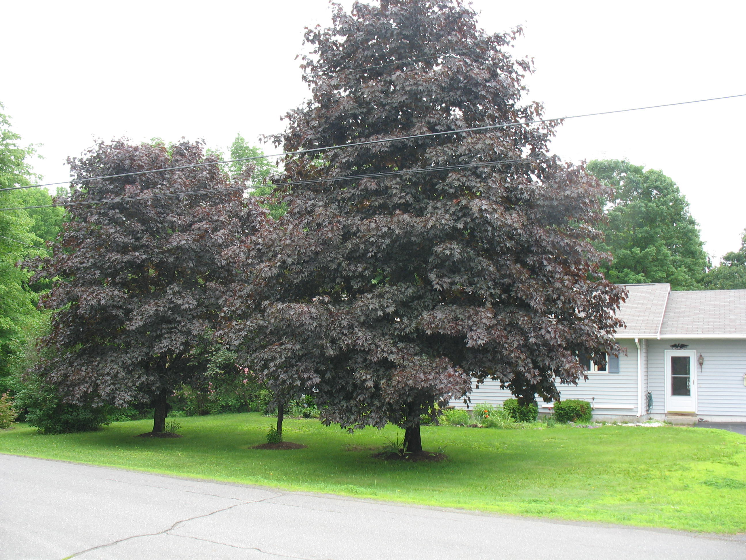 15 Guilford Center Road Guilford ME 04443