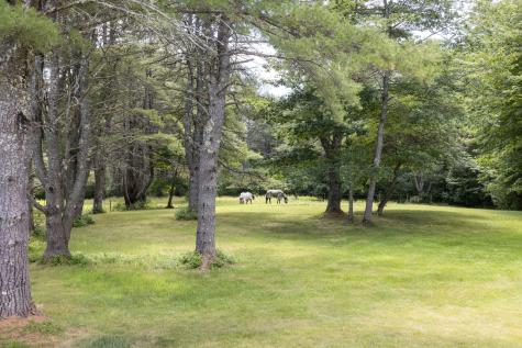 165 Emmons Road Kennebunk ME 04043
