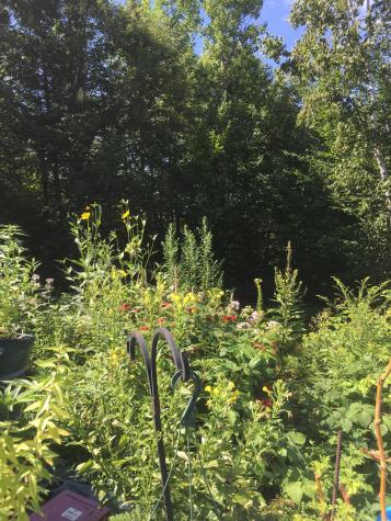 24 Ellis Road West Paris ME 04289