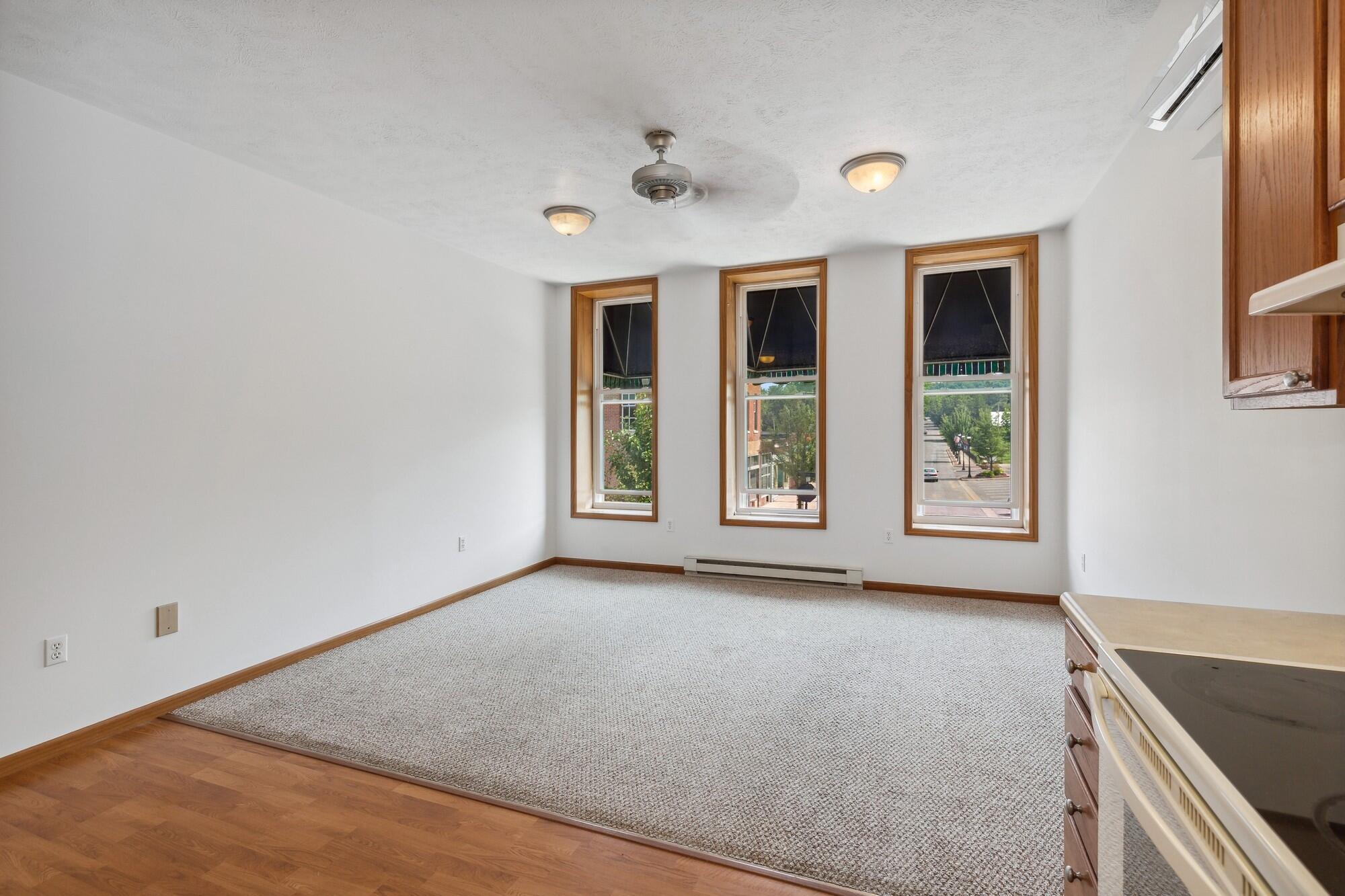 217 E Front Street Buchanan MI 49107