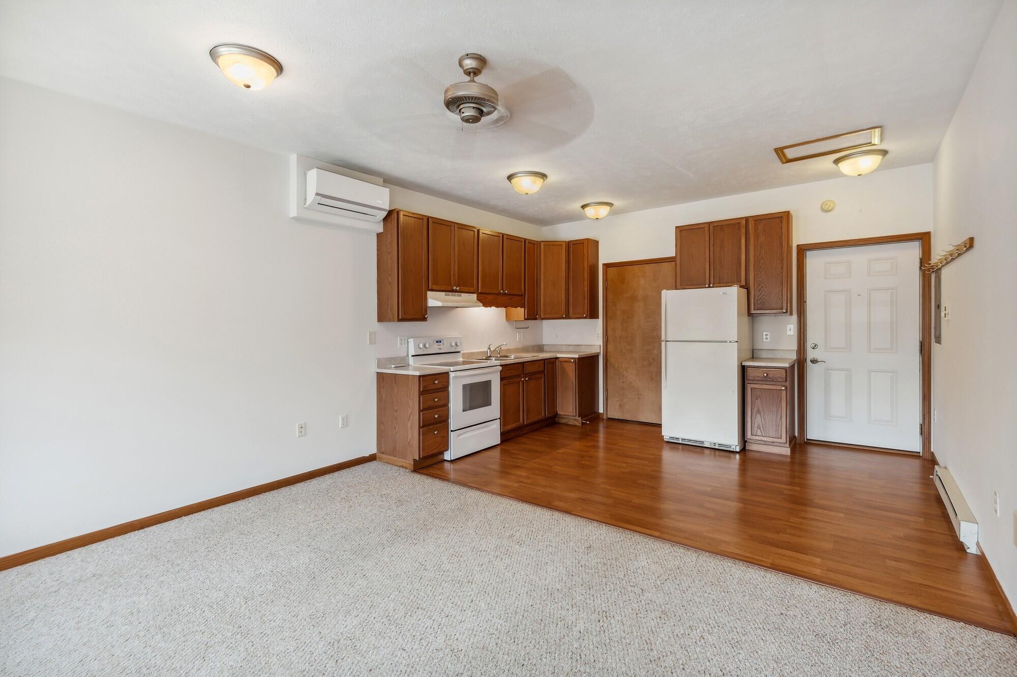 217 E Front Street Buchanan MI 49107