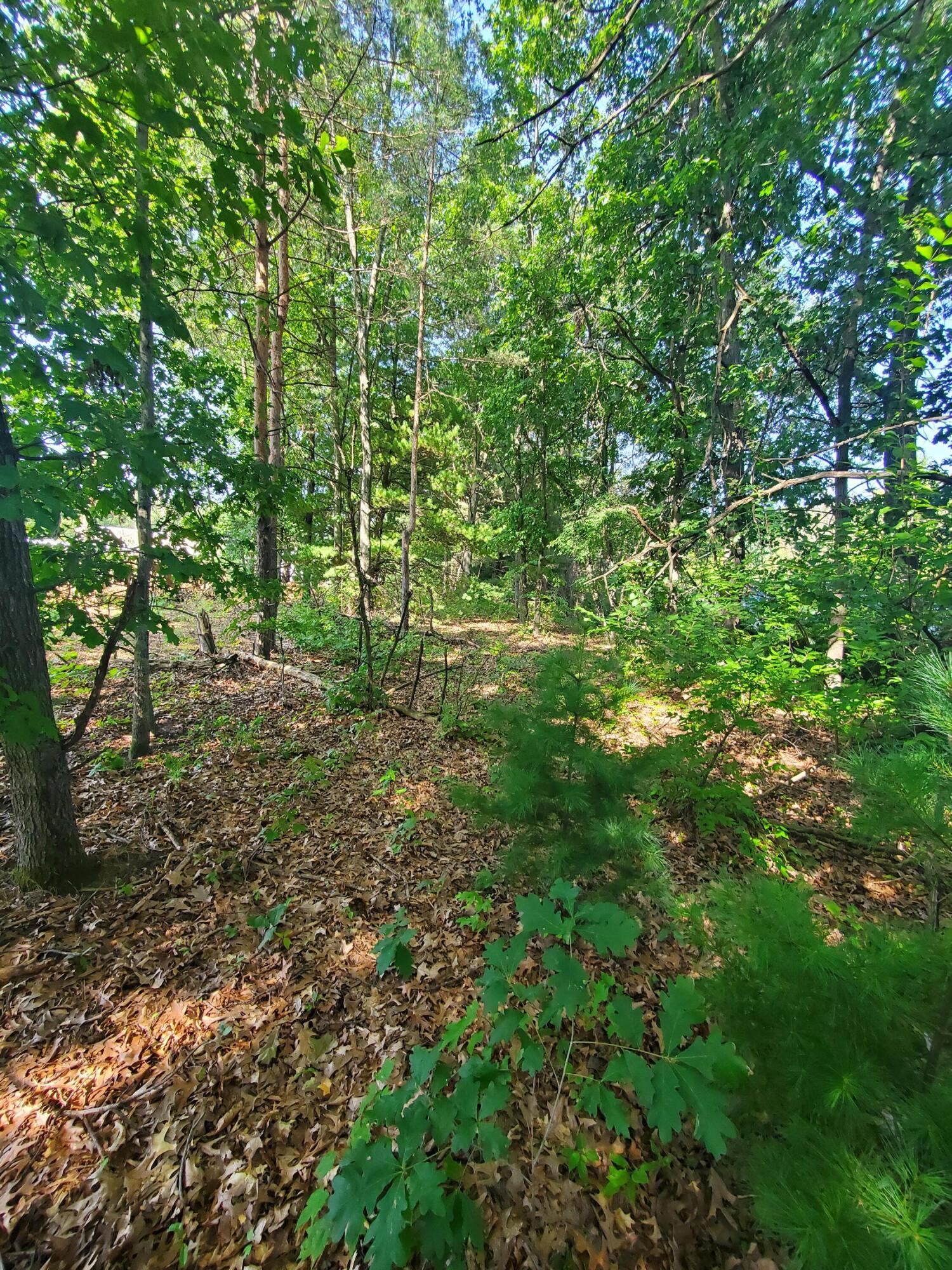 10549 Northland Drive NE Rockford MI 49341