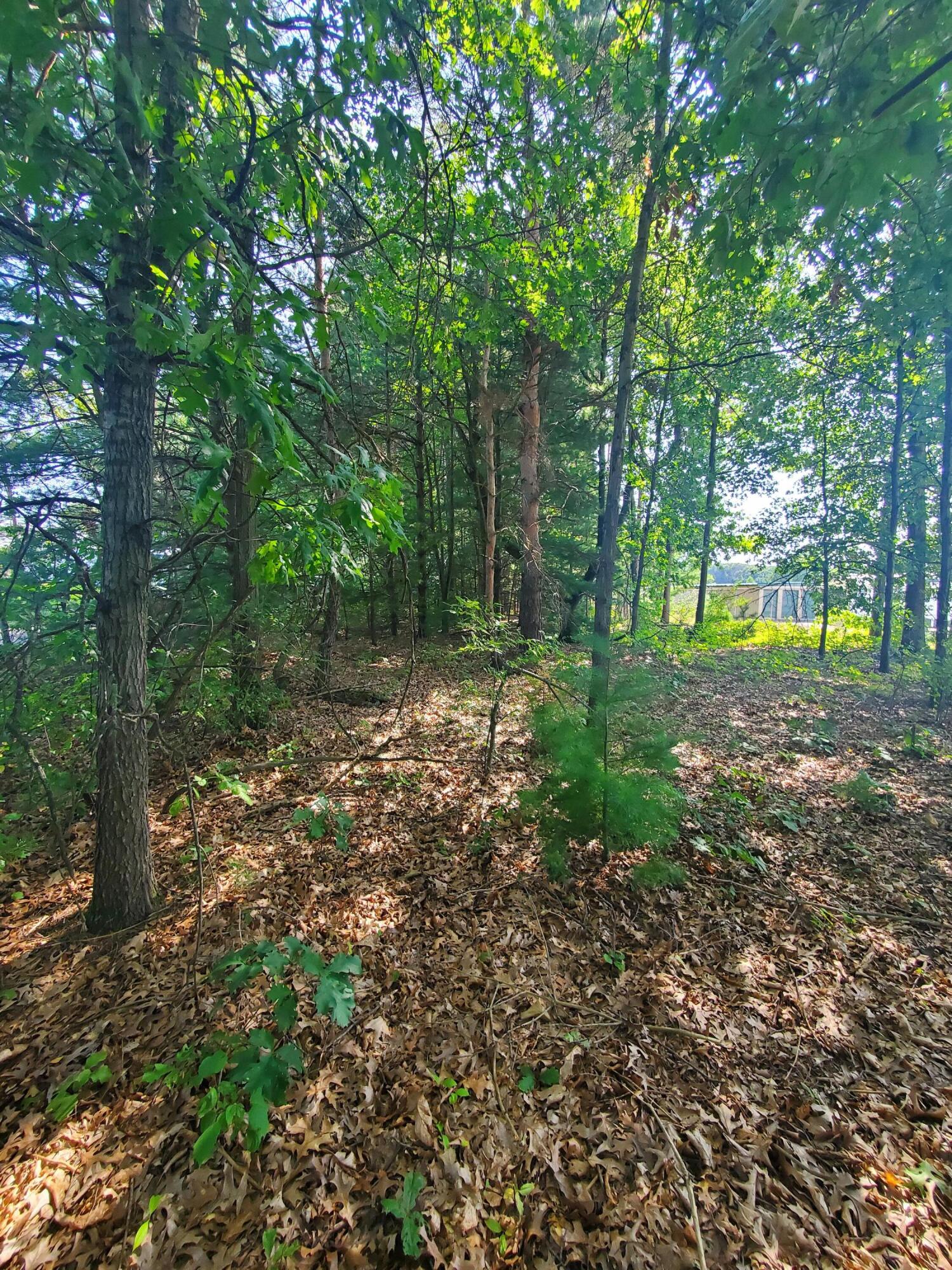 10549 Northland Drive NE Rockford MI 49341