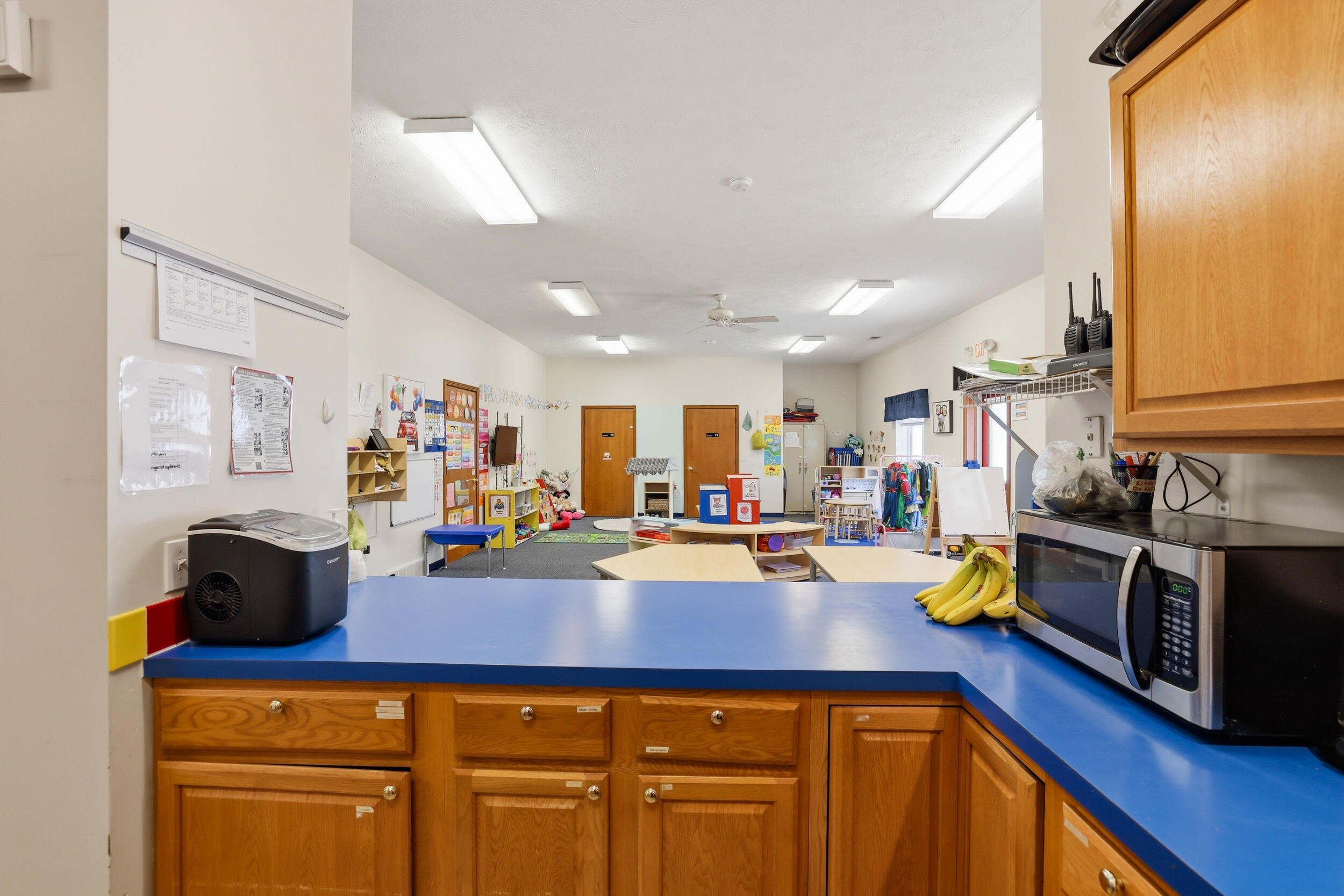 11560 Holmden Court NE Rockford MI 49341