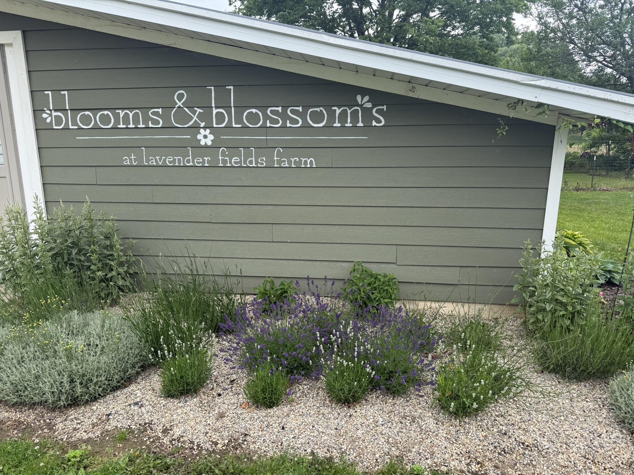 2175 E Hinchman Road Berrien Springs MI 49103