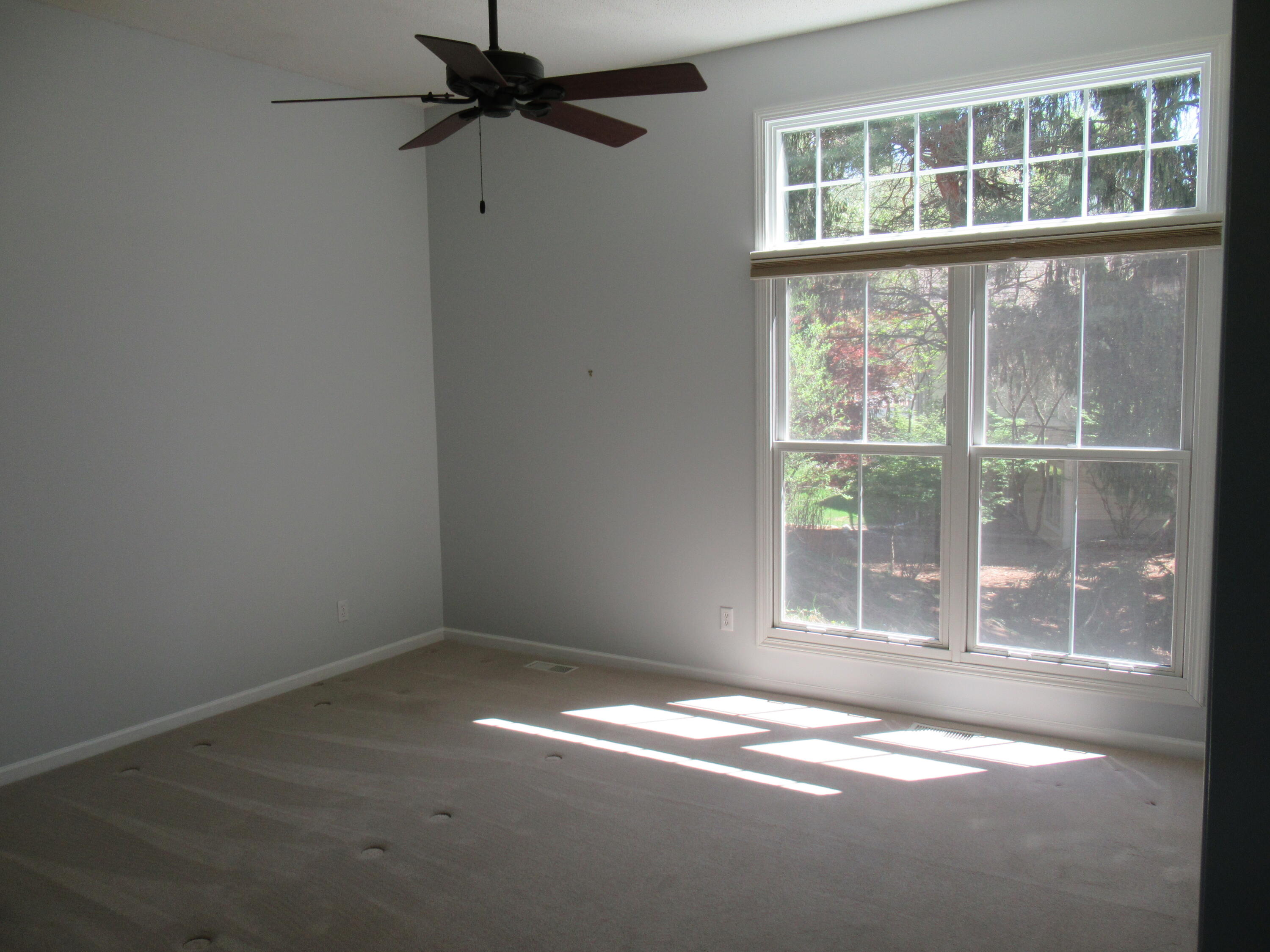 982 Sunflower Court Holland MI 49424