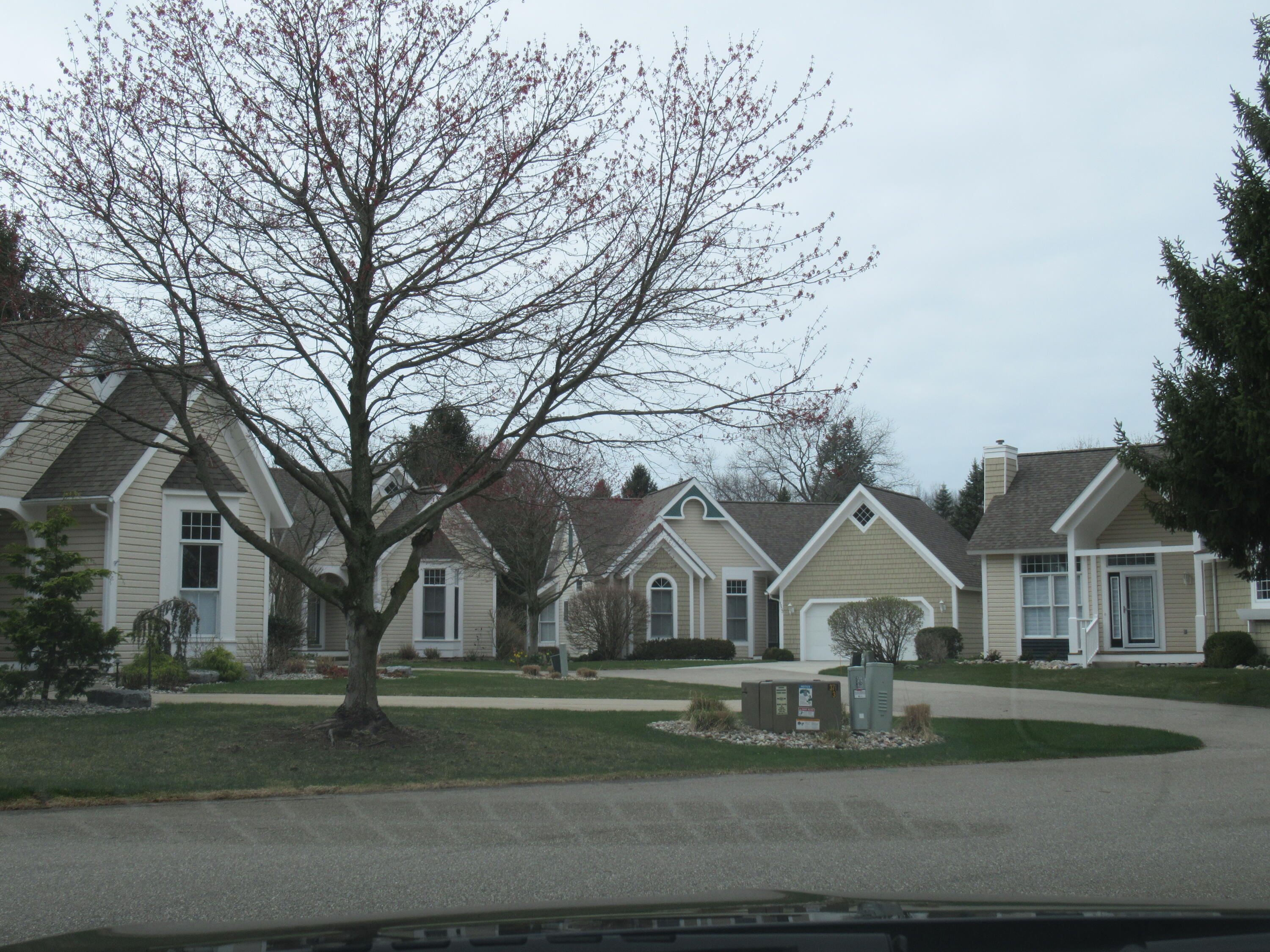 982 Sunflower Court Holland MI 49424