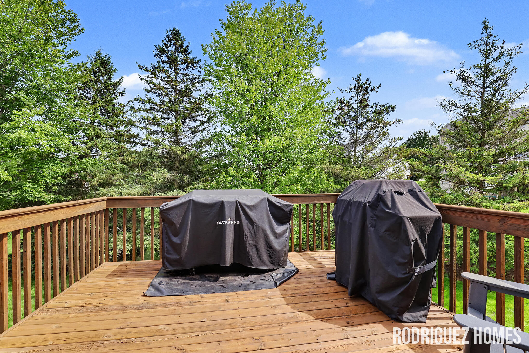670 Abbey Mill Drive SE Ada MI 49301
