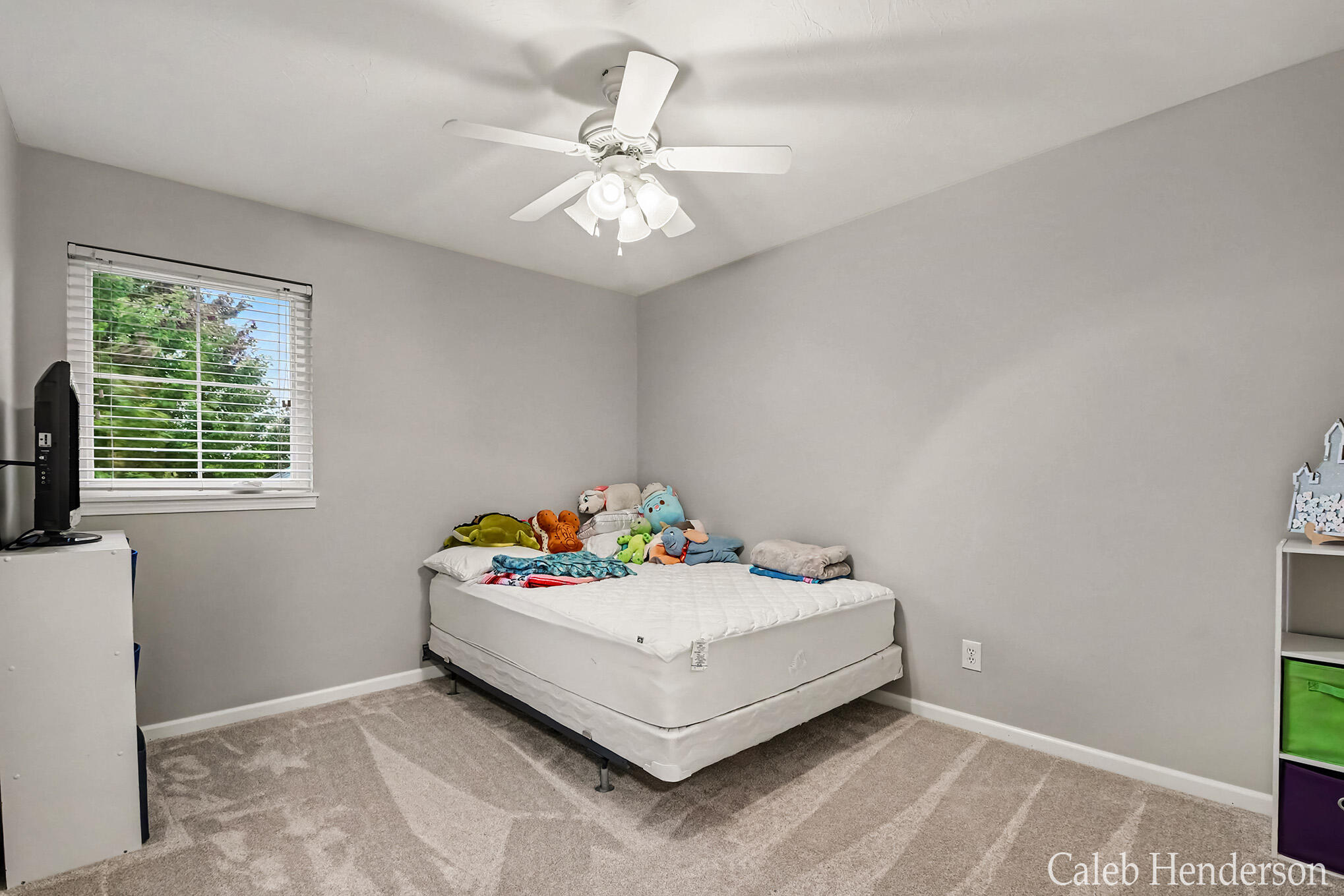 2713 Blue Stem Drive Zeeland MI 49464