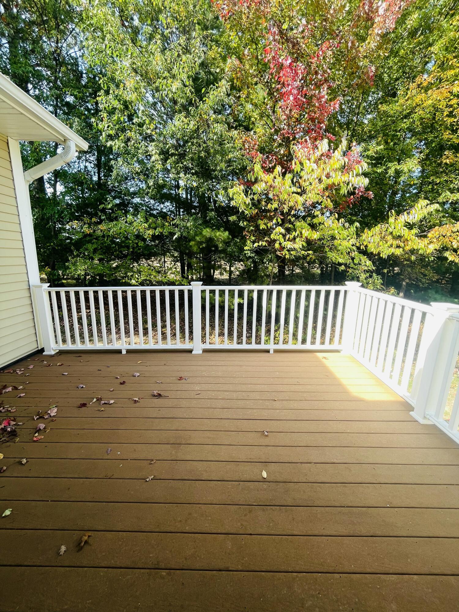 1231 Blue Heron Drive Ludington MI 49431