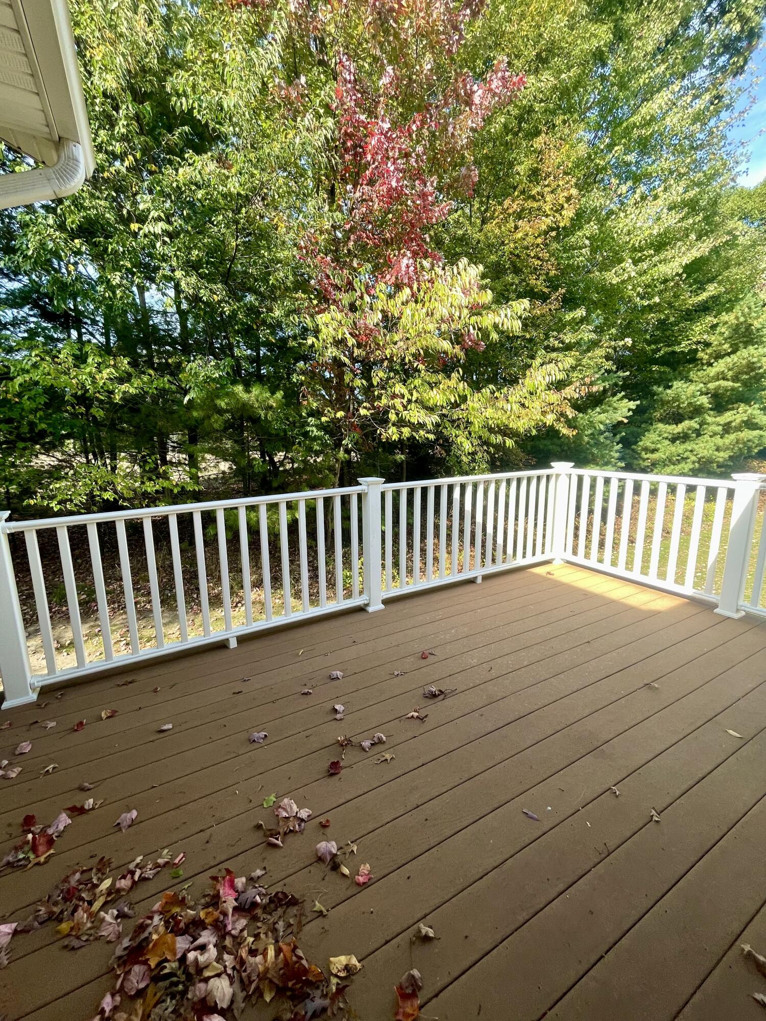 1231 Blue Heron Drive Ludington MI 49431