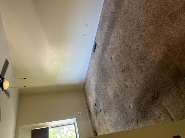 207 Paisley Court Kalamazoo MI 49006