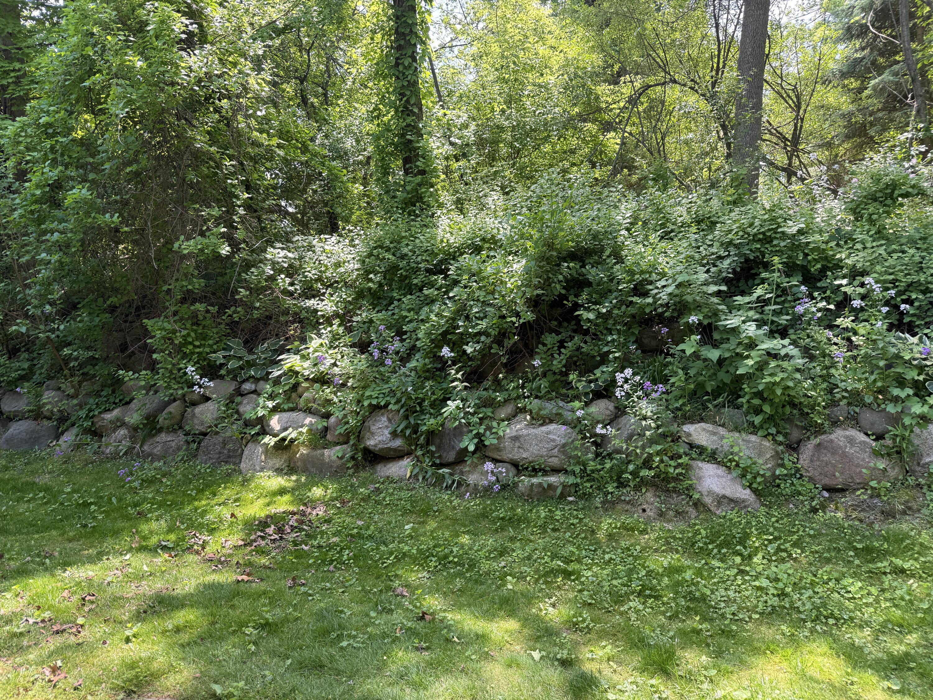 8507 Courtland Drive NE Rockford MI 49341
