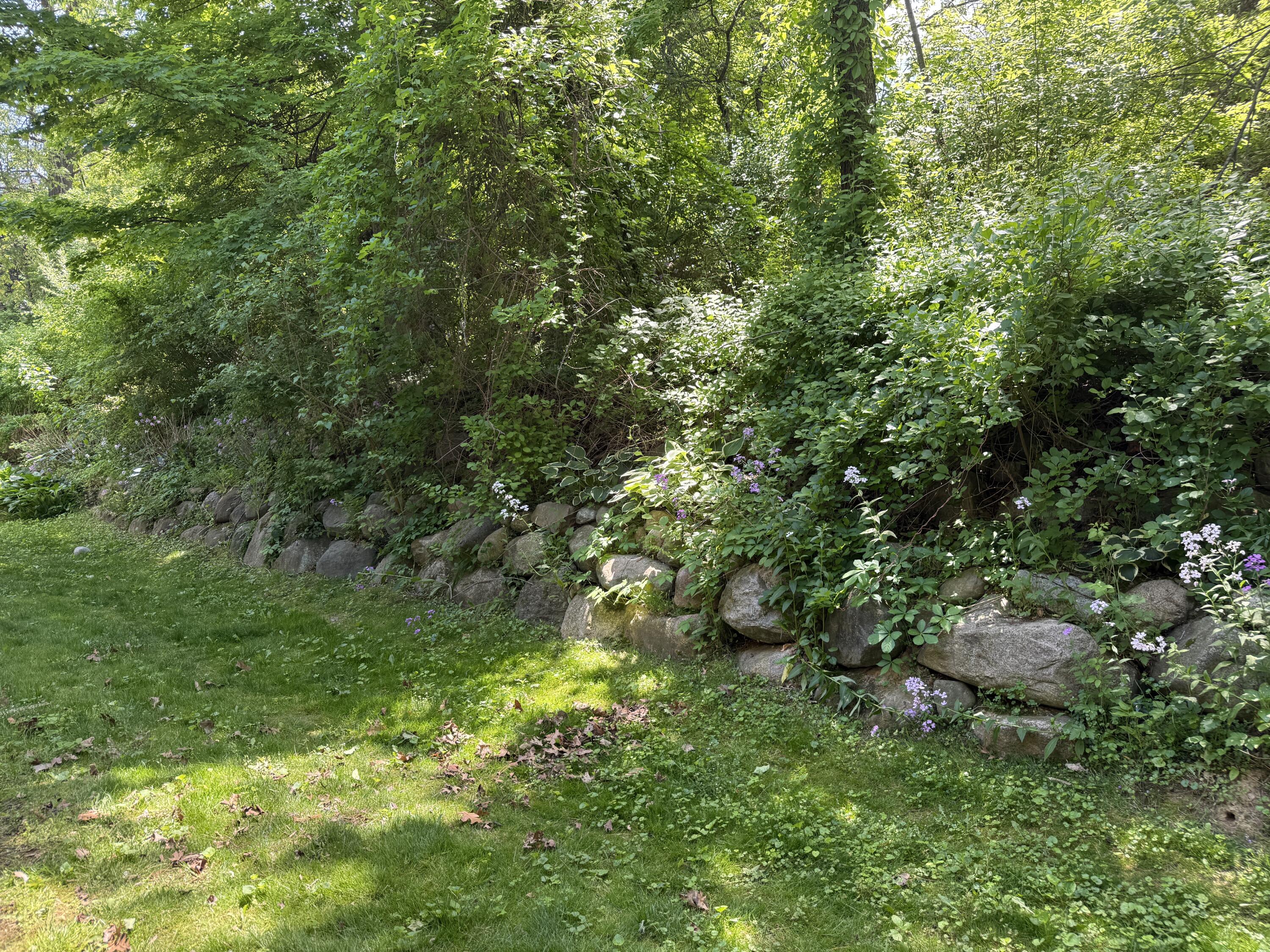 8507 Courtland Drive NE Rockford MI 49341