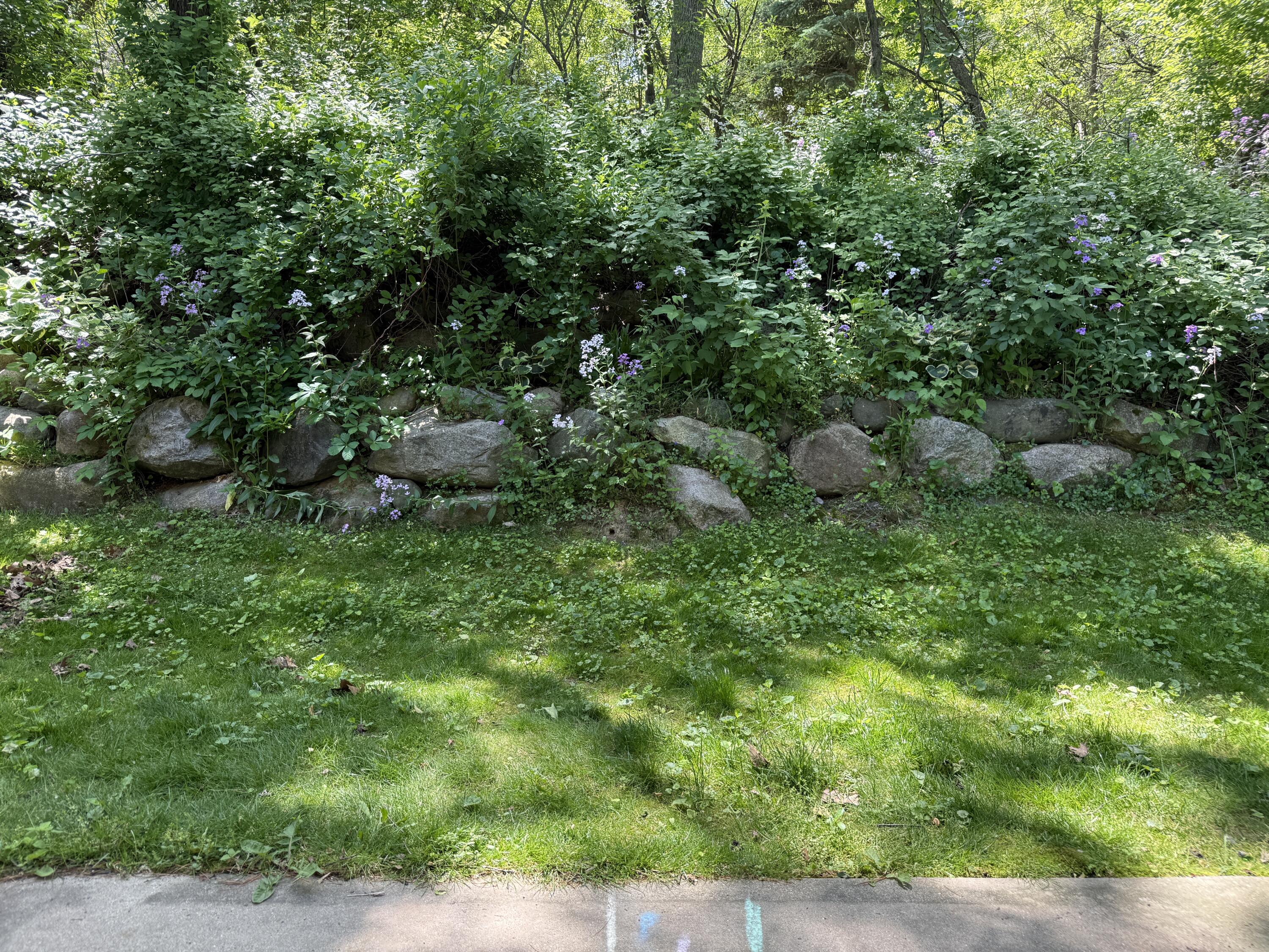 8507 Courtland Drive NE Rockford MI 49341