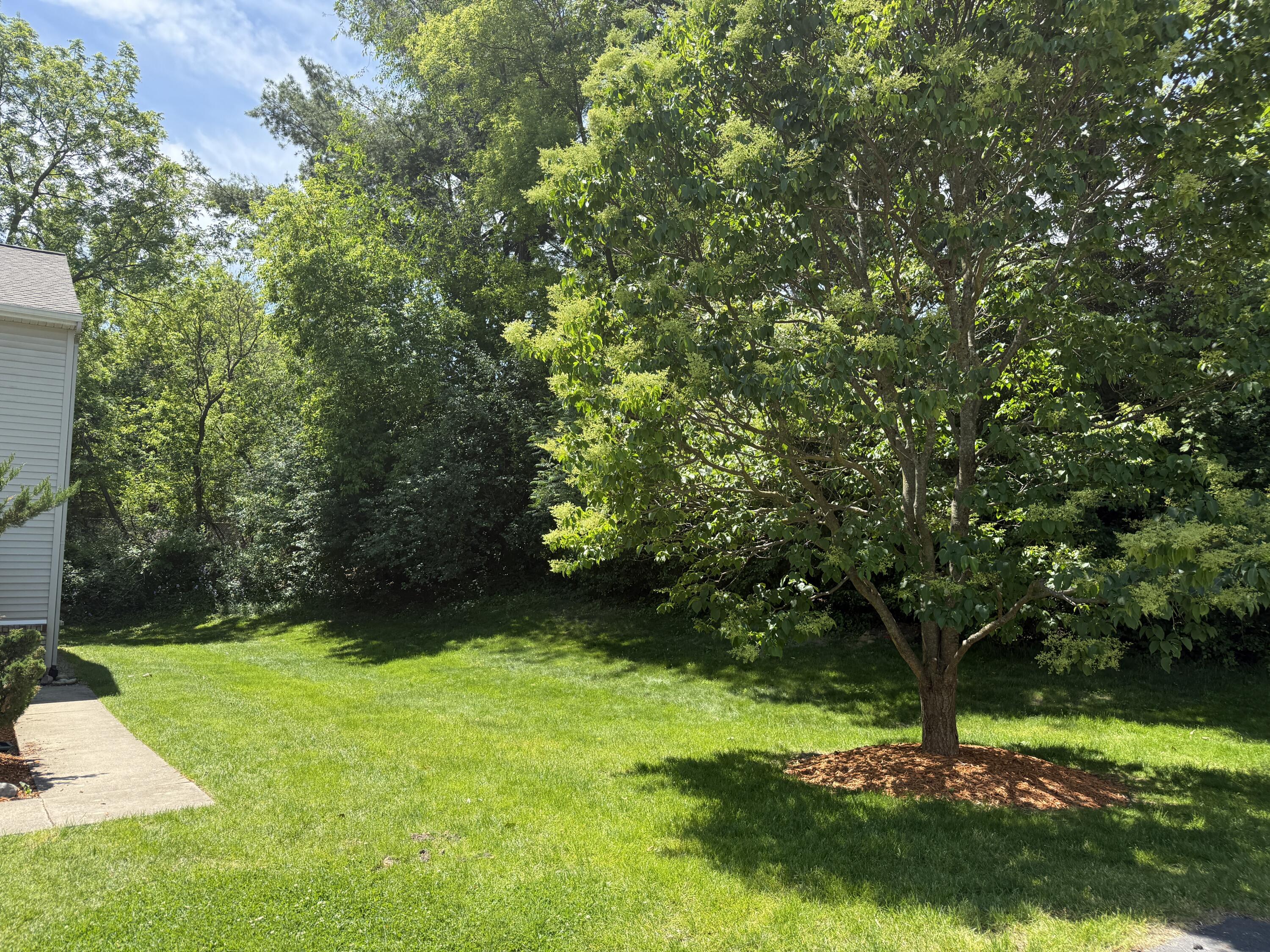 8507 Courtland Drive NE Rockford MI 49341