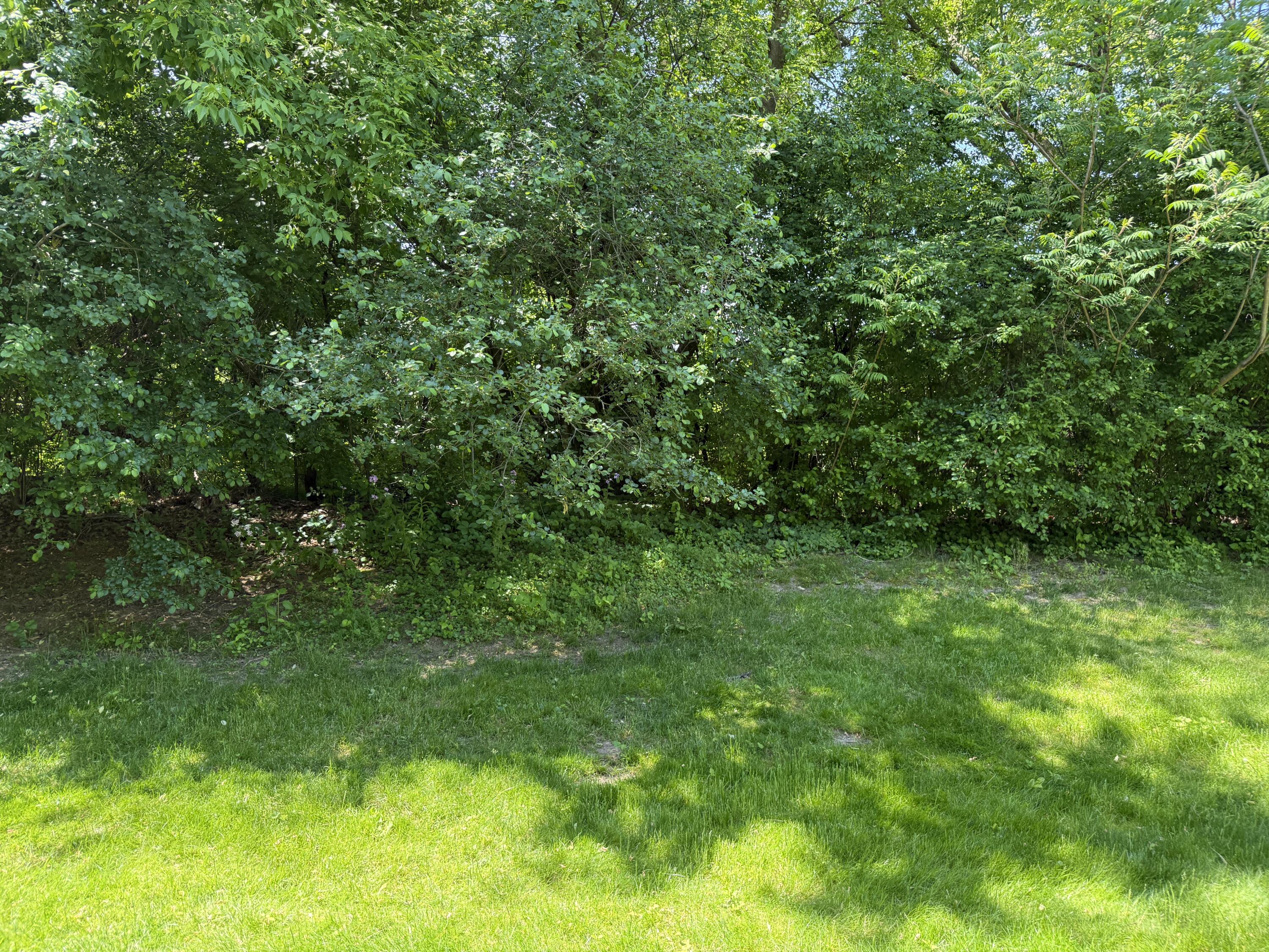 8507 Courtland Drive NE Rockford MI 49341