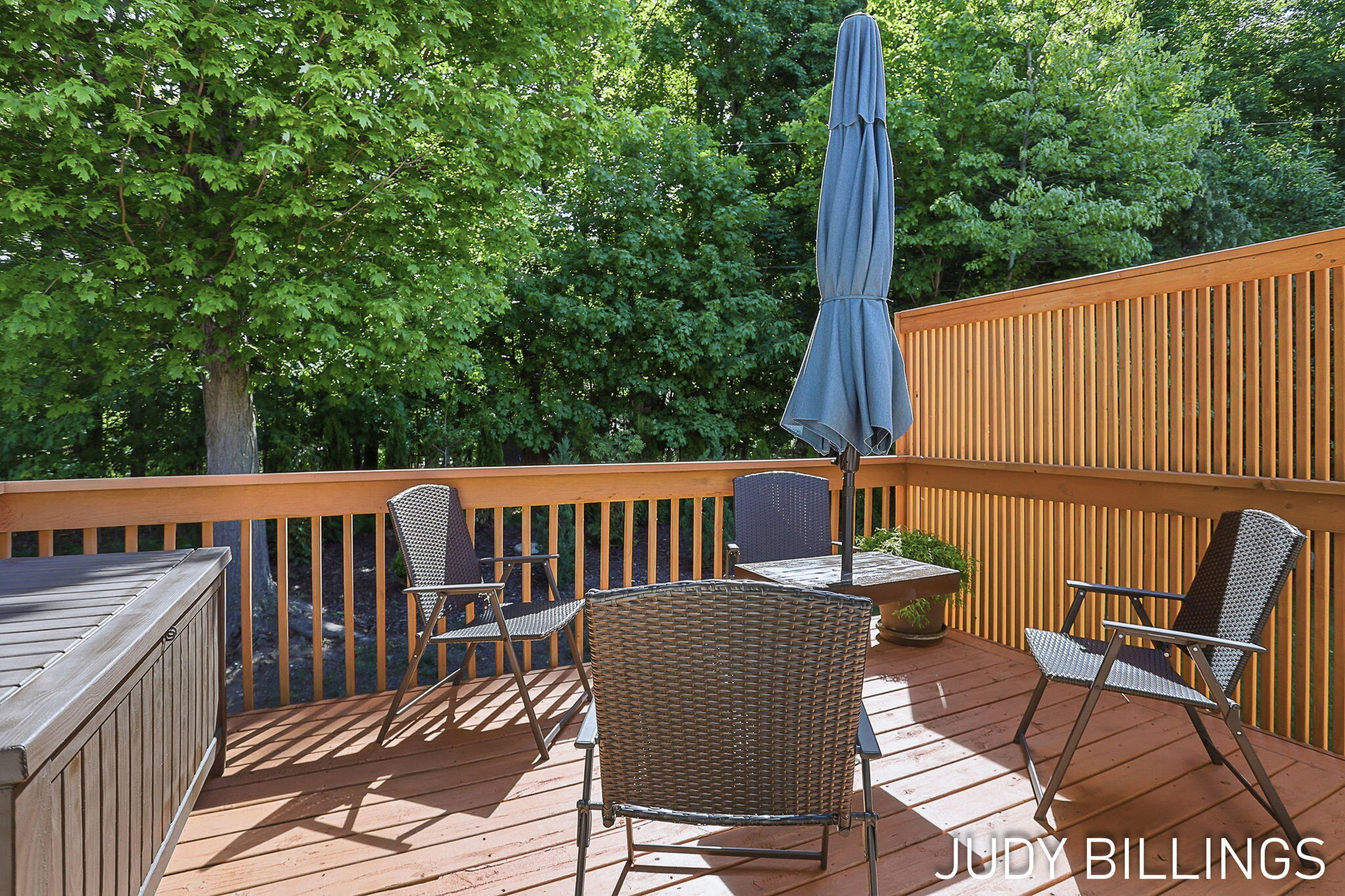 437 Amity Street Douglas MI 49406