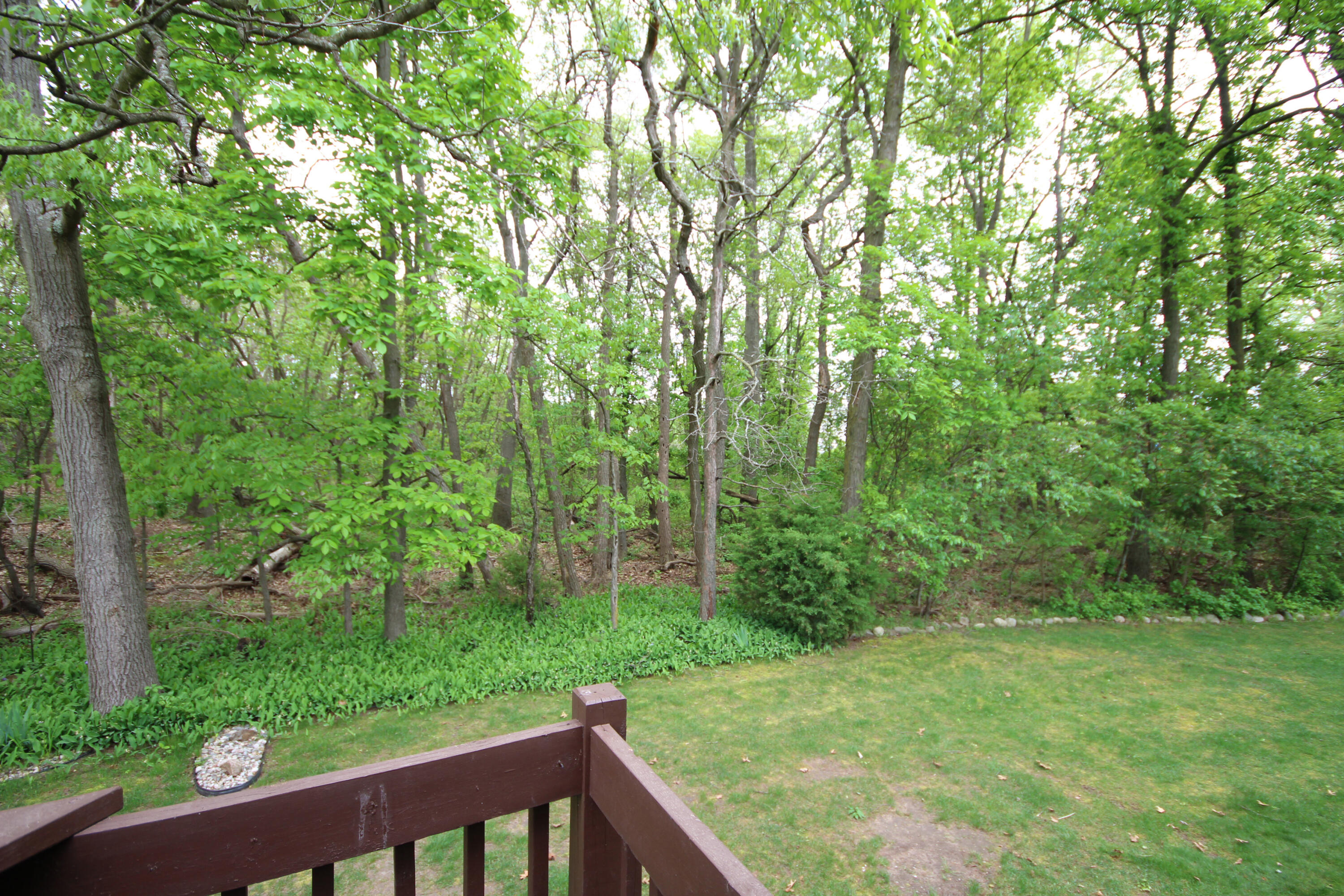 9671 Palmetto Court Portage MI 49002