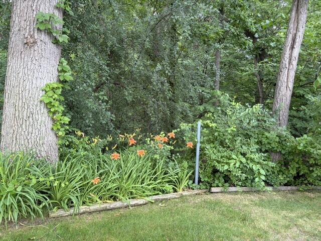 3345 Clear Vista Court NE Grand Rapids MI 49525