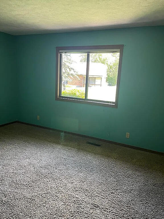 52 Old Mill Drive Holland MI 49423