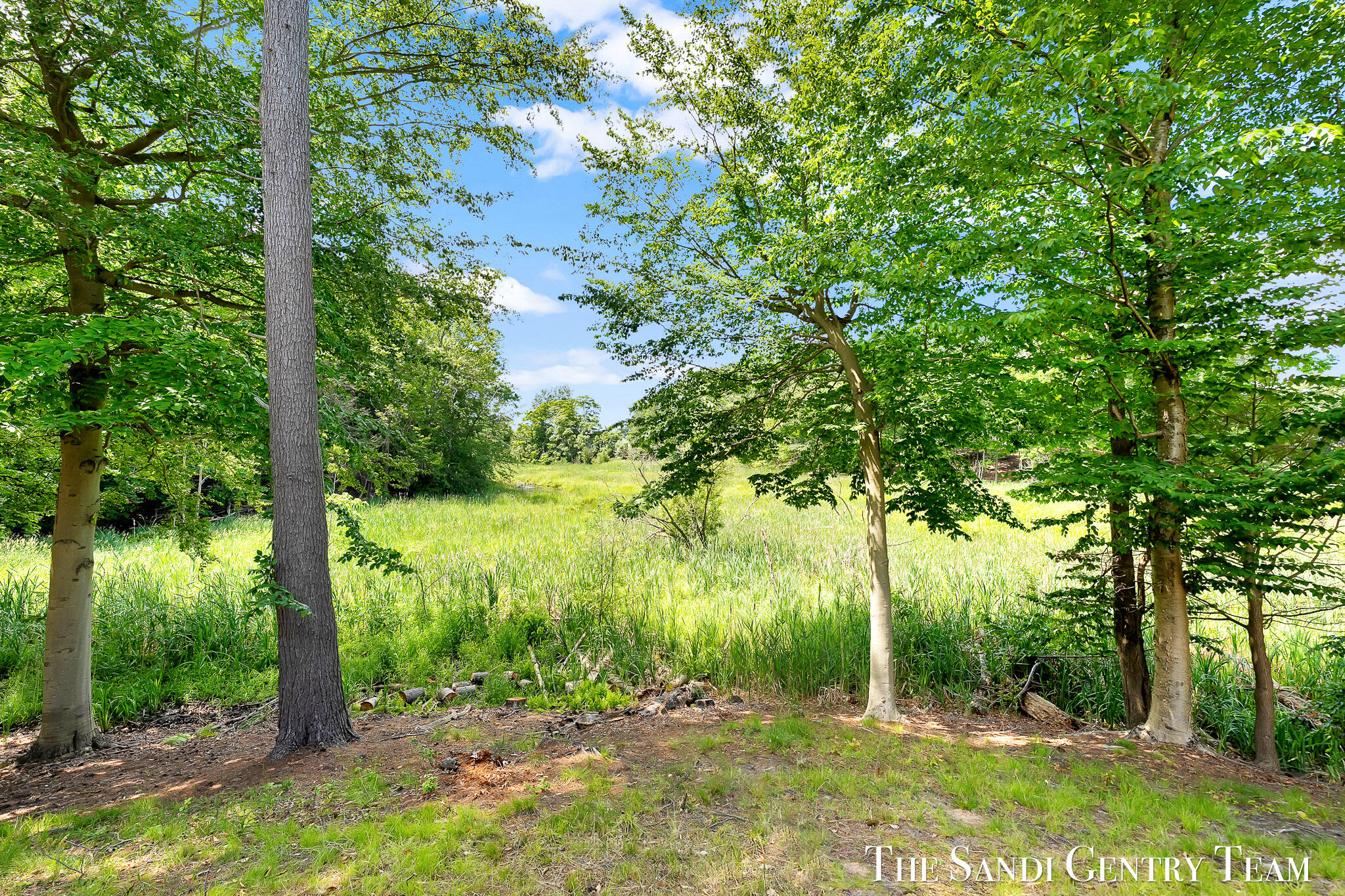 931 Bluff Creek Drive Grand Haven MI 49417