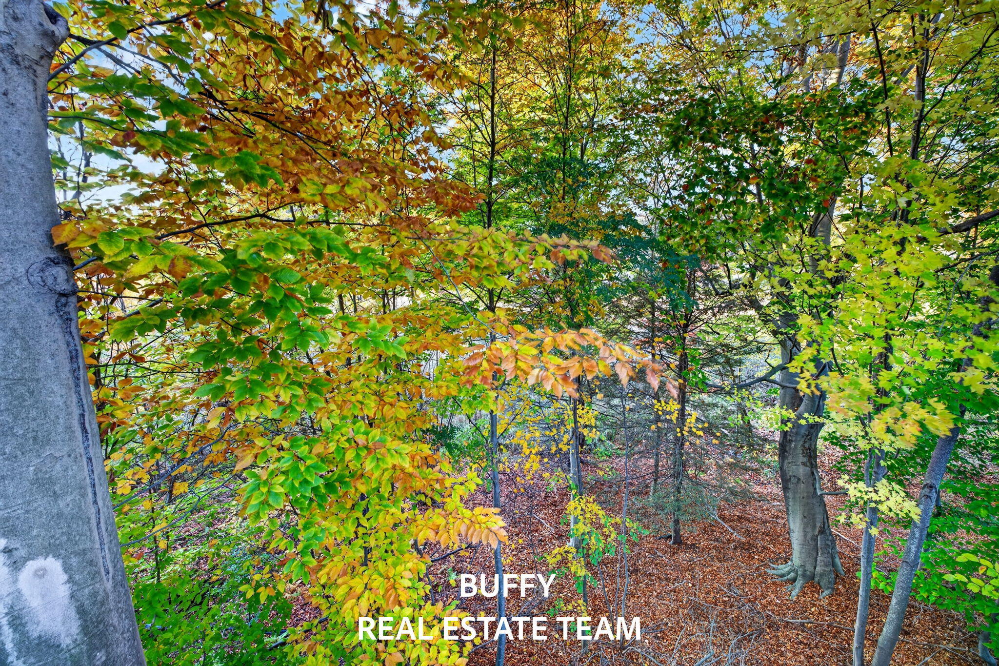907 Bluff Creek Drive Grand Haven MI 49417